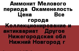 Аммонит Мелового периода. Окаменелость. › Цена ­ 2 800 - Все города Коллекционирование и антиквариат » Другое   . Нижегородская обл.,Нижний Новгород г.